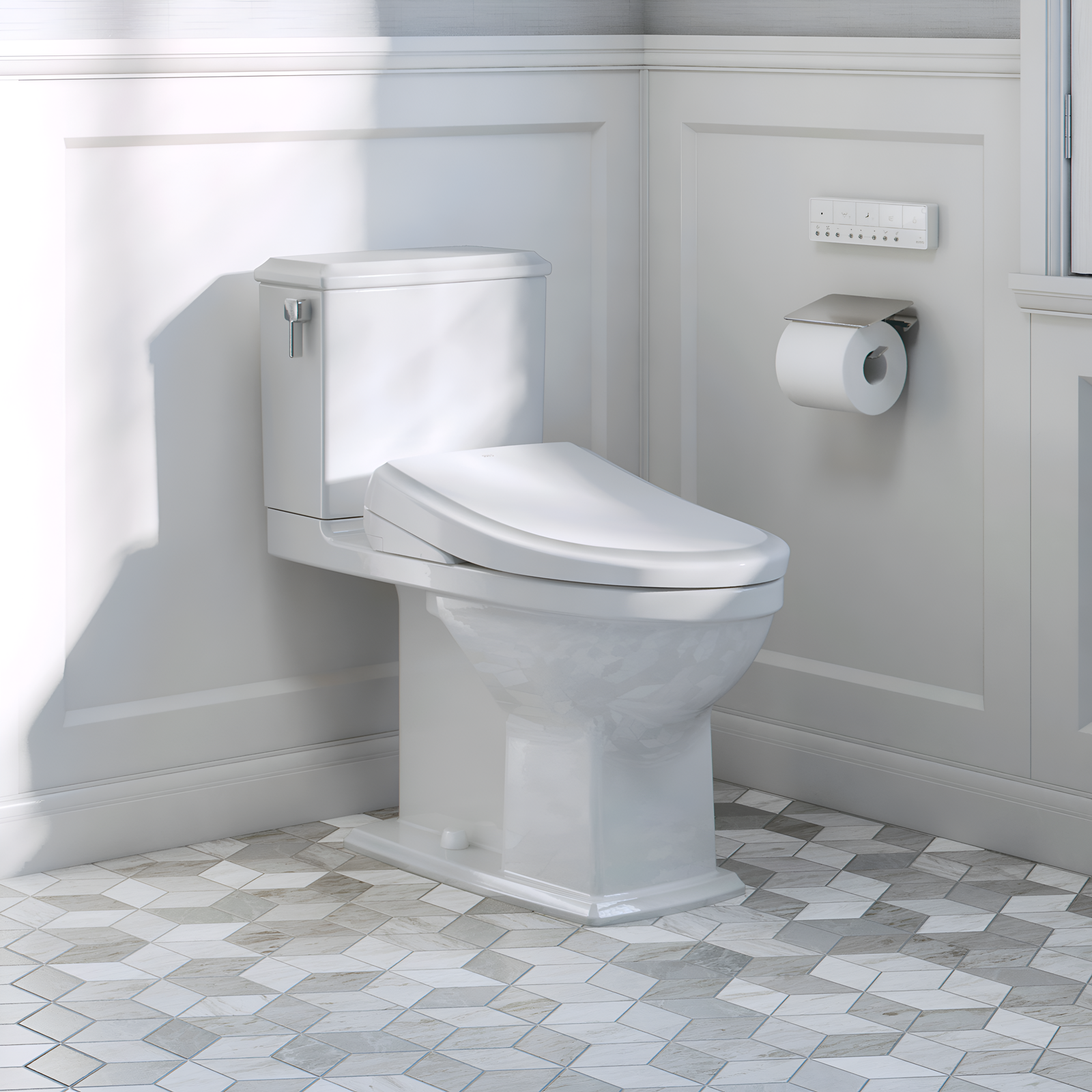 Bidet Toilet Combos
